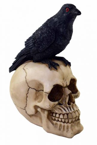 Crow On Skull