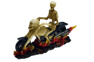 Skull On Motorbike