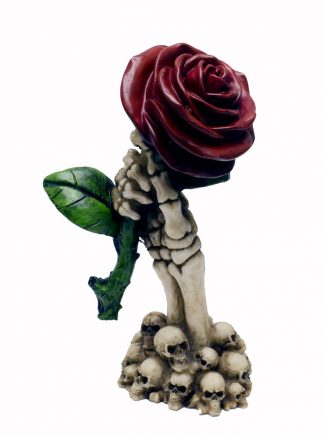 Hand With Red Rose