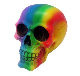 Skull Rainbow Colours